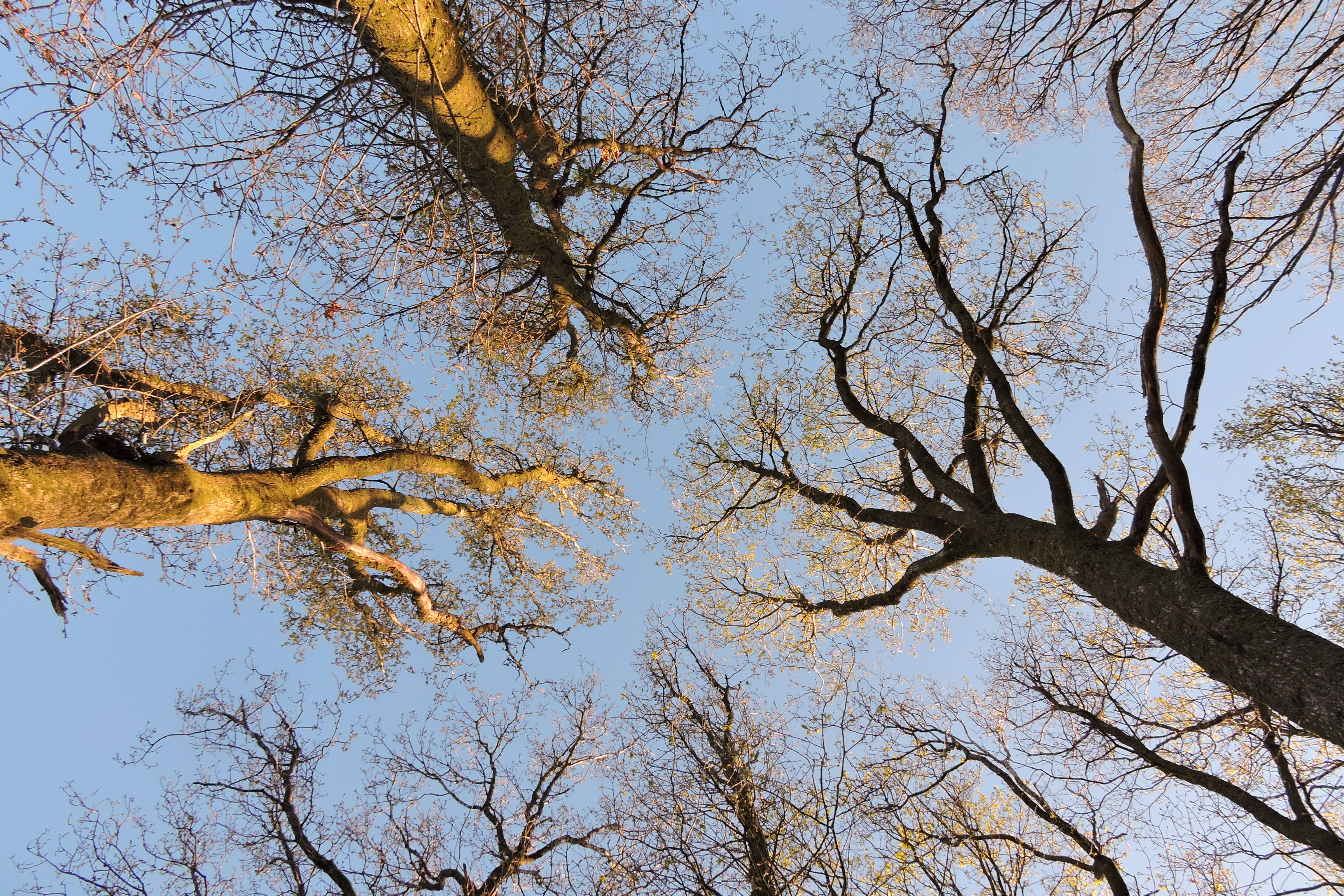 WORMS EYE VIEW Bill Bagley Photography